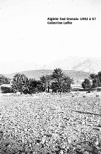 SUD ORANAIS  1932 A 1937  (87)